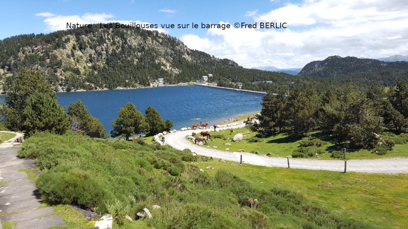 Camping Las Asperas*** Palau-de-Cerdagne Bagian luar foto