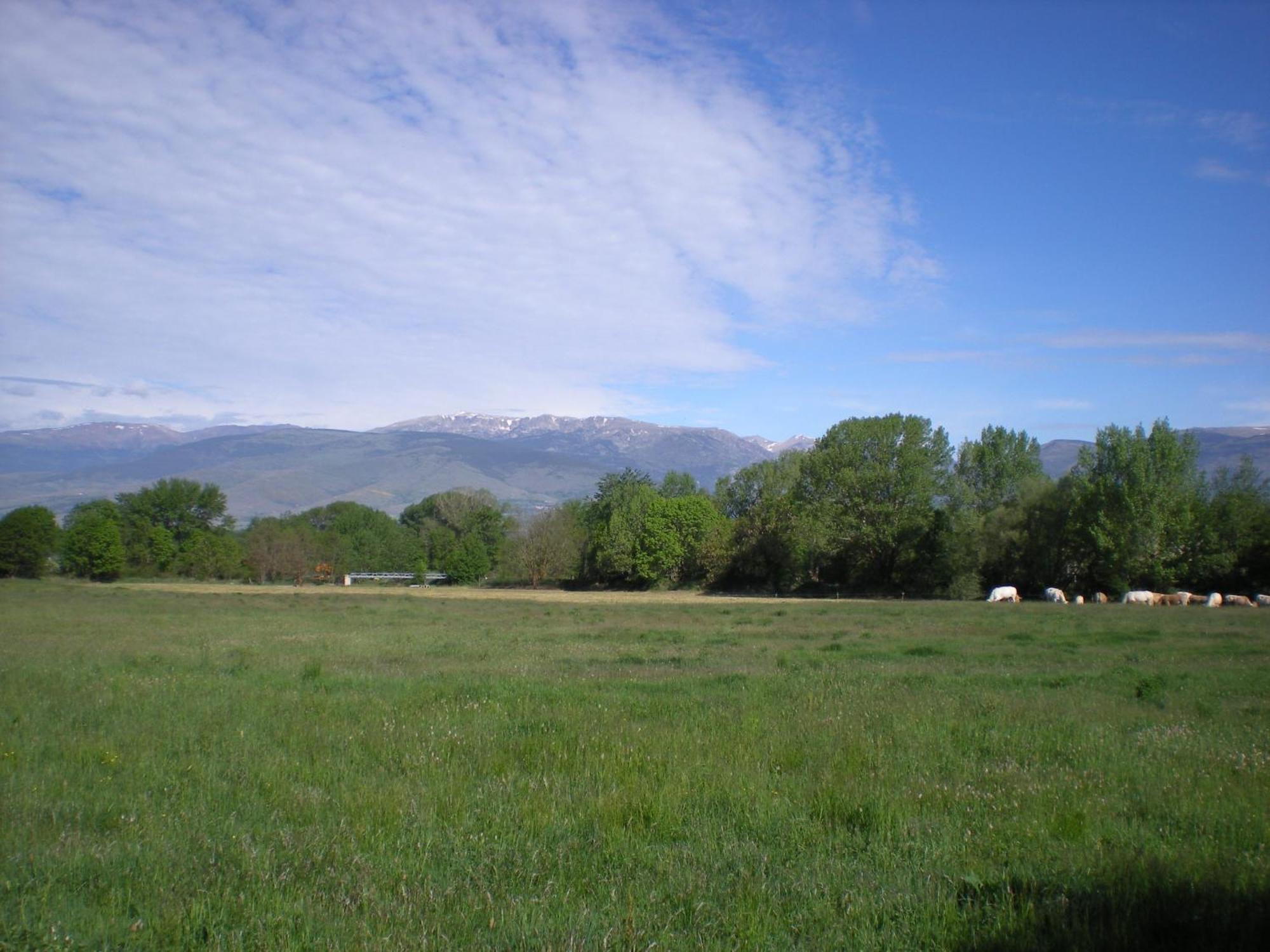 Camping Las Asperas*** Palau-de-Cerdagne Bagian luar foto